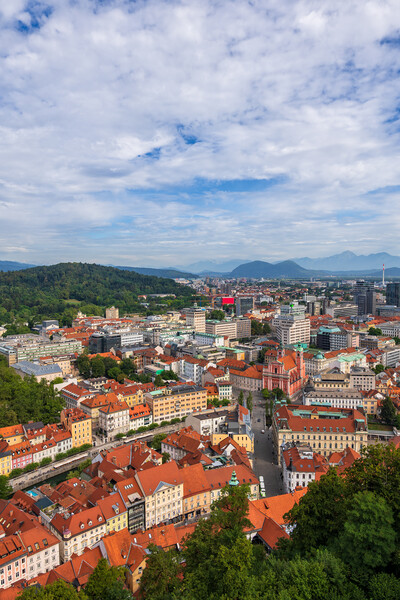 Cityscape of Ljubljana in Slovenia Picture Board by Artur Bogacki