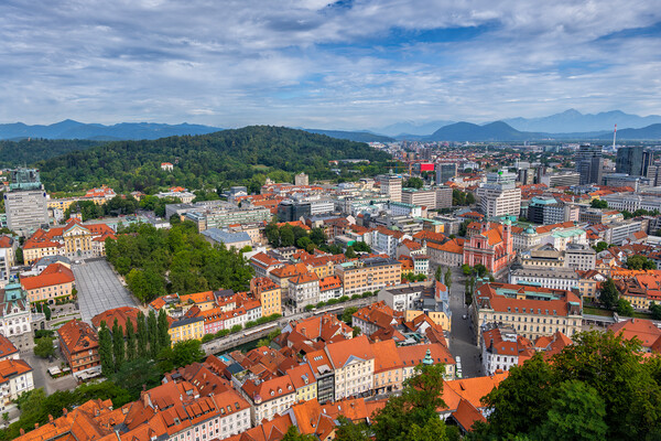 Ljubljana City Cityscape In Slovenia Picture Board by Artur Bogacki