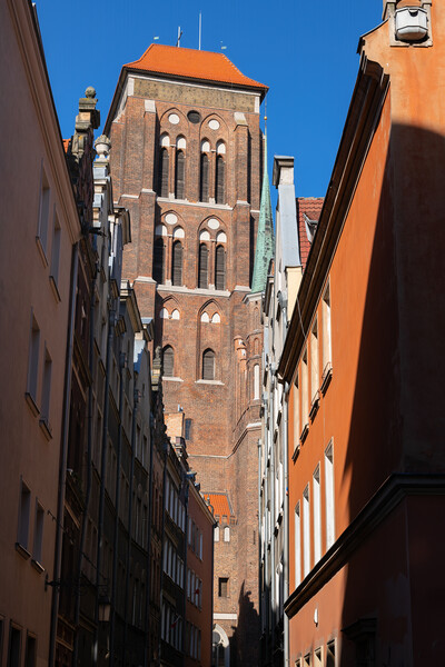 St Mary Church Gothic Tower In Gdansk Picture Board by Artur Bogacki