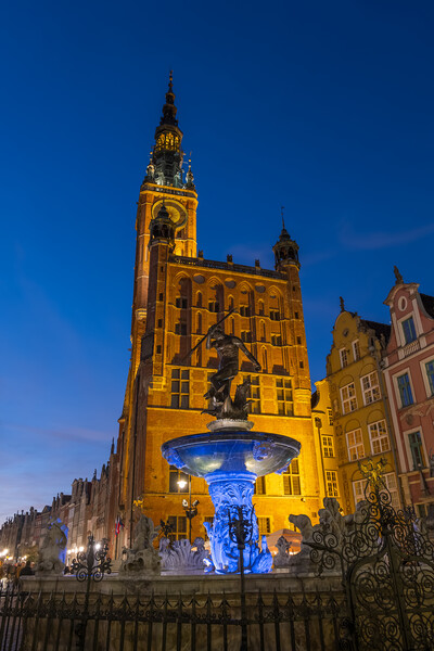 Neptune Fountain And Town Hall At Night In Gdansk Picture Board by Artur Bogacki