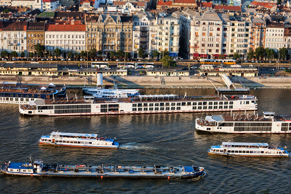 Cruise Boats on Danube River in Budapest Picture Board by Artur Bogacki