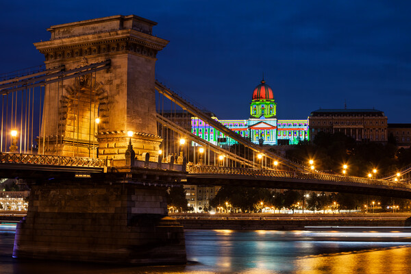 Chain Bridge and Buda Castle in Budapest at Night Picture Board by Artur Bogacki