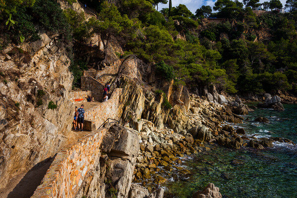 Path Along Costa Brava Sea Coast In Spain Picture Board by Artur Bogacki
