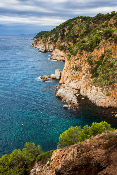 Costa Brava Coastline in Spain Picture Board by Artur Bogacki