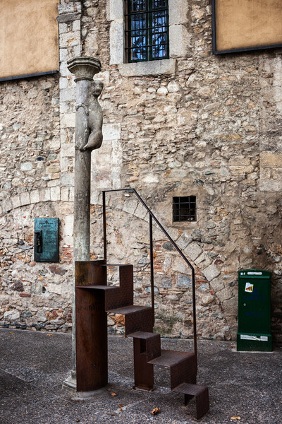 The Lioness of Girona Sculpture Picture Board by Artur Bogacki