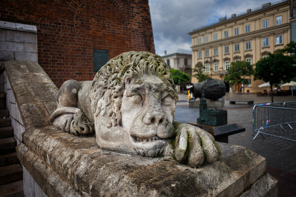 Guardian Lion Stone Sculpture in Krakow Picture Board by Artur Bogacki