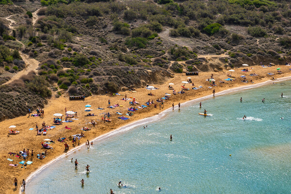 Ghajn Tuffieha Bay And Beach In Malta Picture Board by Artur Bogacki
