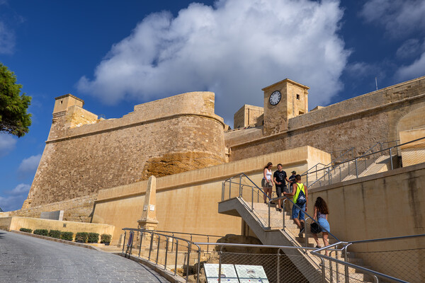 Cittadella In Victoria in Gozo, Malta Picture Board by Artur Bogacki
