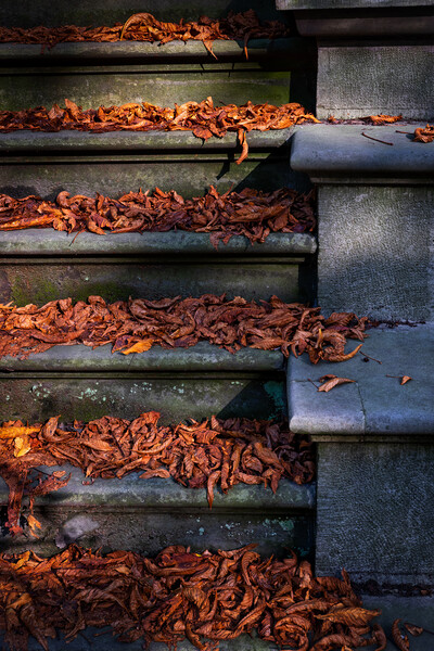 Vintage Stairs Covered With Fallen Autumn Leaves Picture Board by Artur Bogacki