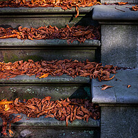 Buy canvas prints of Vintage Stairs Covered With Fallen Autumn Leaves by Artur Bogacki