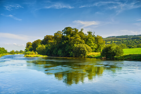River Suir In Ireland Picture Board by Artur Bogacki