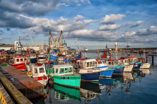Fishing Boats in Dunmore East Harbour Picture Board by Artur Bogacki