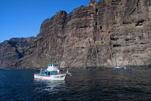 Boat Trip at Los Gigantes in Tenerife Picture Board by Artur Bogacki