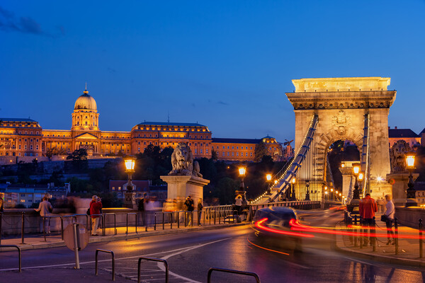 Castle And Chain Bridge in Budapest at Night Picture Board by Artur Bogacki