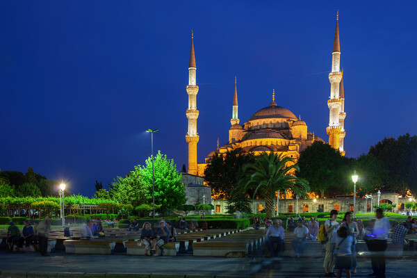 The Blue Mosque in Istanbul at Night Picture Board by Artur Bogacki