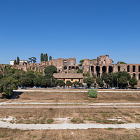 Buy canvas prints of Circus Maximus Palatine Hill Ruins in Rome by Artur Bogacki