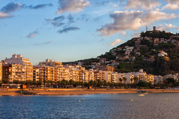 Blanes Town And Sea At Sunrise In Spain Picture Board by Artur Bogacki
