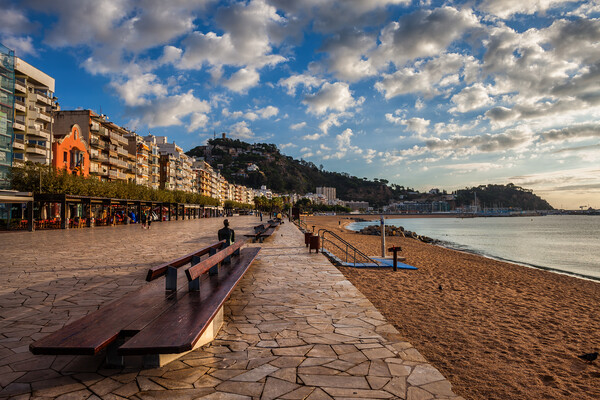 Promenade And Beach In Blanes At Sunrise Picture Board by Artur Bogacki