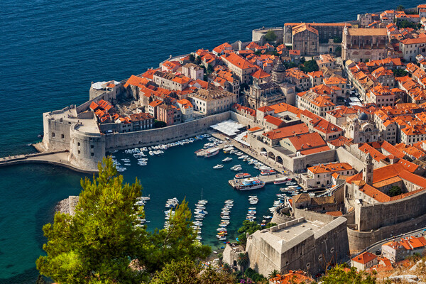 Old Town Of Dubrovnik Aerial view Picture Board by Artur Bogacki