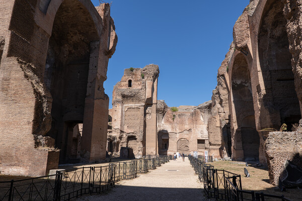Baths of Caracalla Ruins in Rome Picture Board by Artur Bogacki
