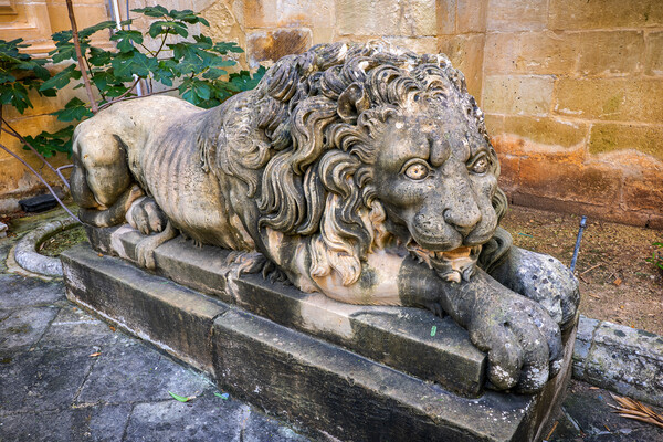 Lion Sculpture At Grand Masters Palace In Malta Picture Board by Artur Bogacki