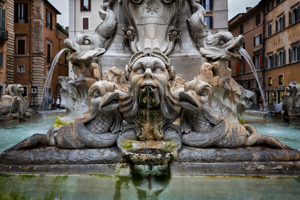 Grotesque Face And Dolphins Of Pantheon Fountain Picture Board by Artur Bogacki