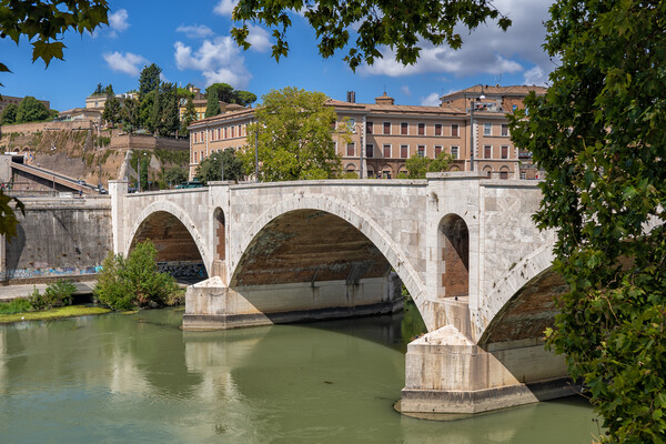 Ponte Principe Amedeo Savoia Aosta In Rome Picture Board by Artur Bogacki