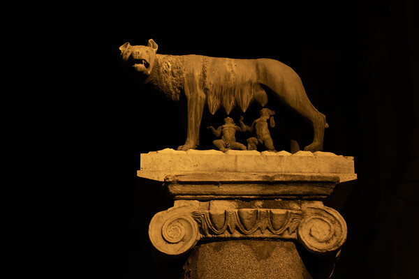 Capitoline Wolf At Night In Rome Picture Board by Artur Bogacki