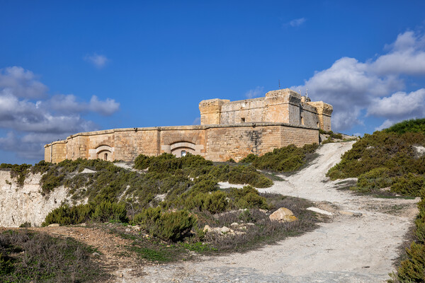 Fort San Lucian In Malta Picture Board by Artur Bogacki