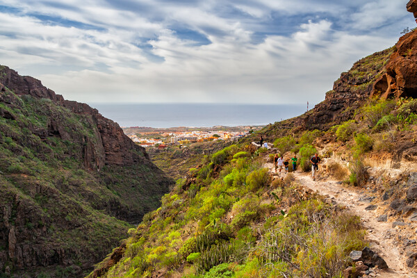 Barranco del Infierno in Tenerife Picture Board by Artur Bogacki
