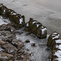 Buy canvas prints of Frozen River With Old Wooden Posts by Artur Bogacki