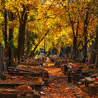 Buy canvas prints of Autumn In Powązki Cemetery In Warsaw by Artur Bogacki