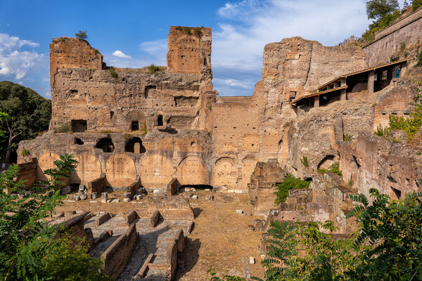 Horrea Agrippiana Ruins In Rome Picture Board by Artur Bogacki
