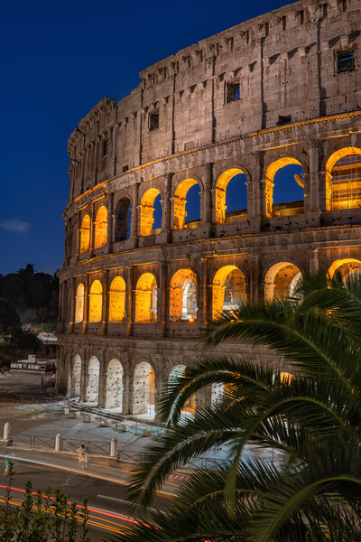 The Colosseum at Night in Rome Picture Board by Artur Bogacki