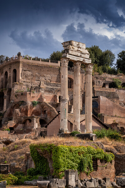 Temple of Castor and Pollux at Roman Forum Picture Board by Artur Bogacki