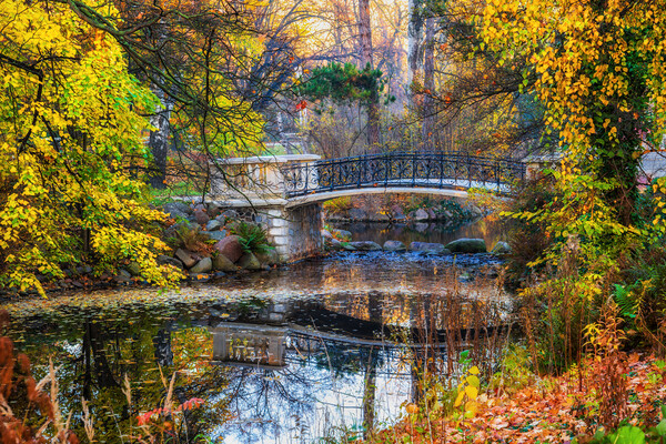 Autumn Scenery In Park Ujazdowski In Warsaw Picture Board by Artur Bogacki