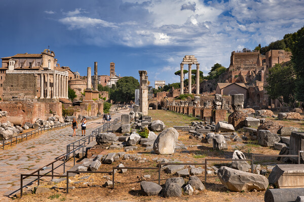 Aancient Ruins Of Roman Forum In Rome Picture Board by Artur Bogacki