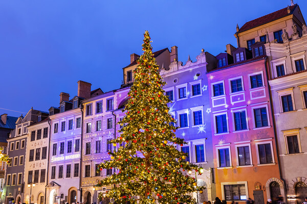 Christmas Tree And Old Town Houses In Warsaw Picture Board by Artur Bogacki