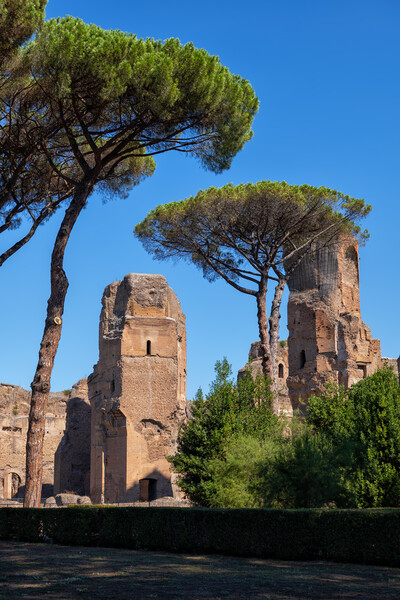 The Baths of Caracalla In Rome Picture Board by Artur Bogacki