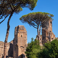 Buy canvas prints of The Baths of Caracalla In Rome by Artur Bogacki