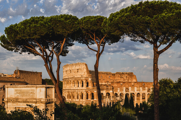 Colosseum and Arch of Titus at Sunset Picture Board by Artur Bogacki