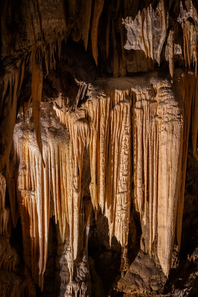 Postojna Cave Interior In Slovenia Picture Board by Artur Bogacki