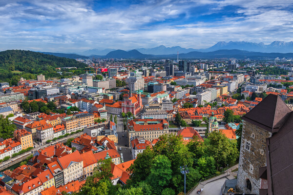 Ljubljana Cityscape In Slovenia Picture Board by Artur Bogacki