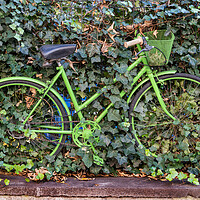 Buy canvas prints of Green Vintage Bicycle At Plants Covered Fence by Artur Bogacki