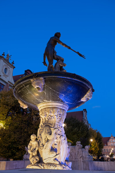 Neptune Fountain At Night In Gdansk Picture Board by Artur Bogacki