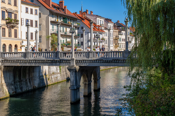 The Cobblers Bridge In Ljubljana Picture Board by Artur Bogacki