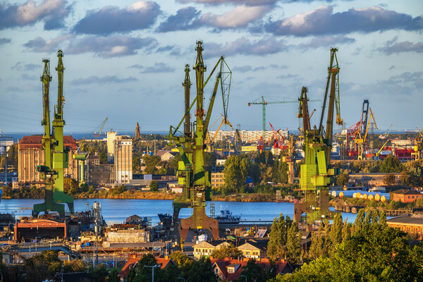 Gdansk Shipyard Cranes At Sunset In Poland Picture Board by Artur Bogacki
