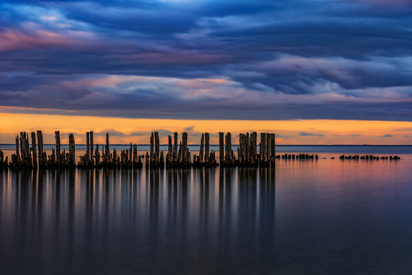 Old Sea Pier Wooden Posts At Twilight Picture Board by Artur Bogacki