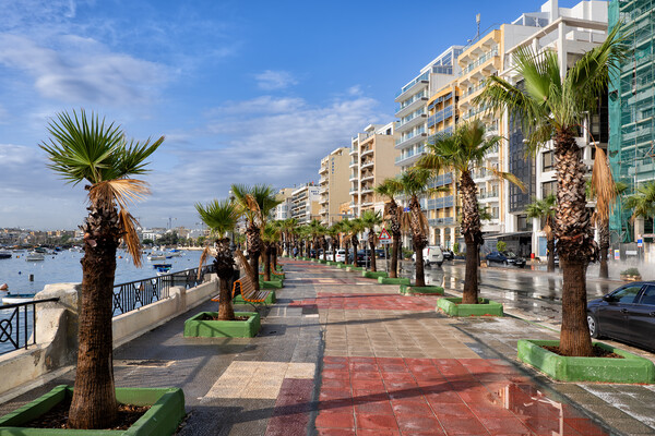 Sliema Town Seaside Promenade In Malta Picture Board by Artur Bogacki