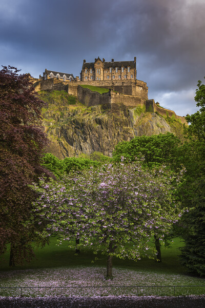 Edinburgh Castle In Spring Picture Board by Artur Bogacki